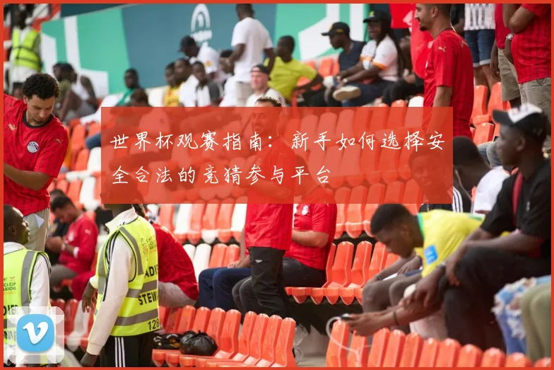 世界杯观赛指南:新手如何选择安全合法的竞猜参与平台