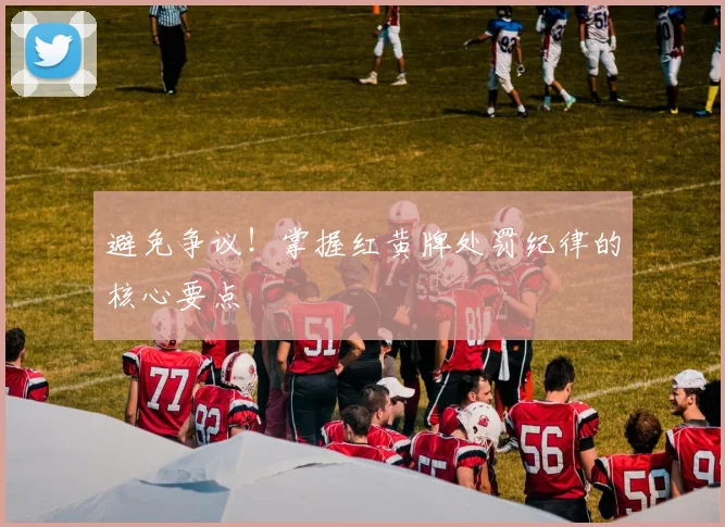 避免争议!掌握红黄牌处罚纪律的核心要点