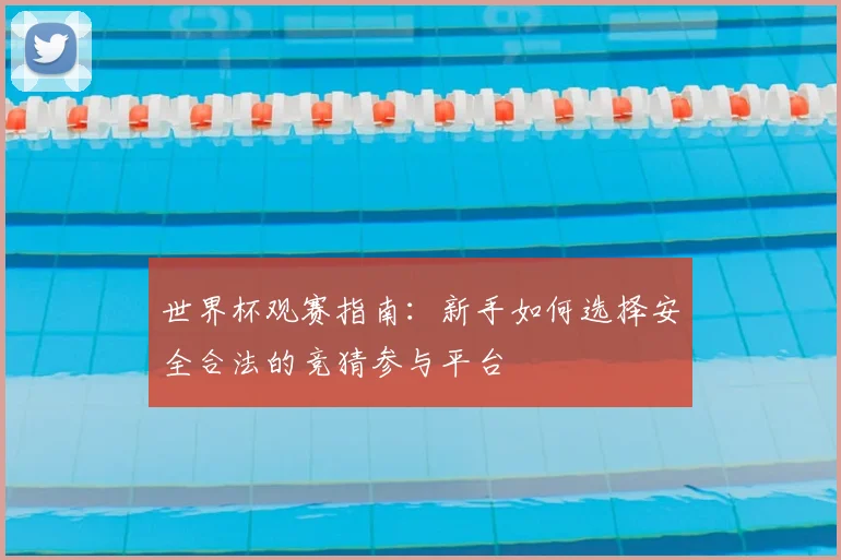 世界杯观赛指南:新手如何选择安全合法的竞猜参与平台
